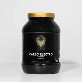 4GOLD Carbo Electro (1 kg.)